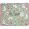 一番くじ SPY×FAMILY Embark on a mission C賞 ブランケット