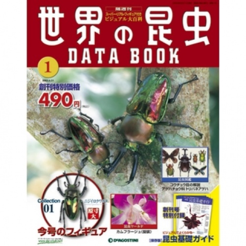隔週刊 世界の昆虫データブック 全60号巻 (特典/バインダー付)