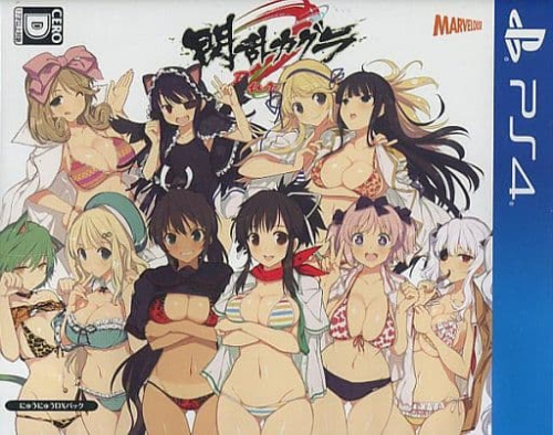 [PS4](ソフト単品)閃乱カグラ Burst Re:Newal(バーストリニューアル) にゅうにゅうDXパック(限定版)(PLJM-16073)