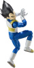 S.H.Figuarts ベジータ-DAIMA-