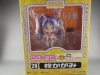 ねんどろいど 028d 柊 かがみ（埼玉新聞６５周年記念Ｖｅｒ．）